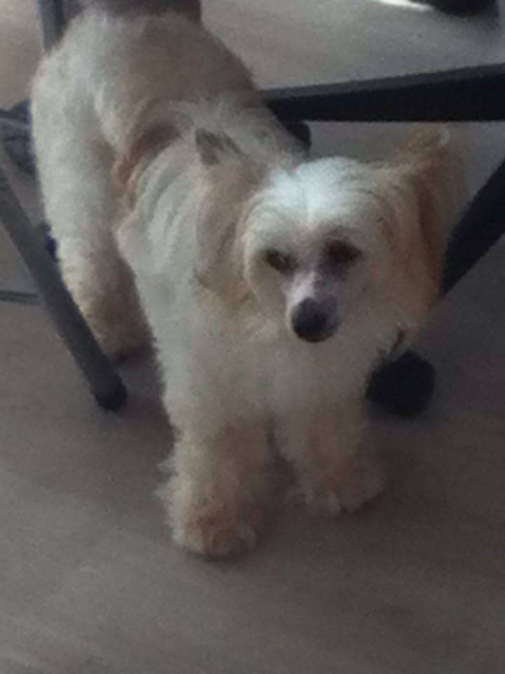 Gamine Daisy Chti Coup de Patte