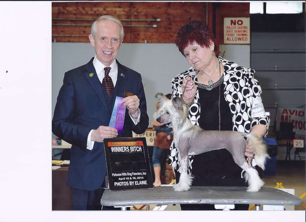 Deja Vu Fat Chicks Revenge