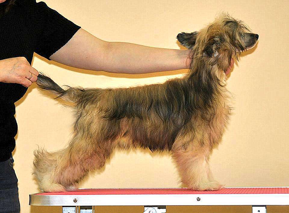 Grand Sunlife Harisma