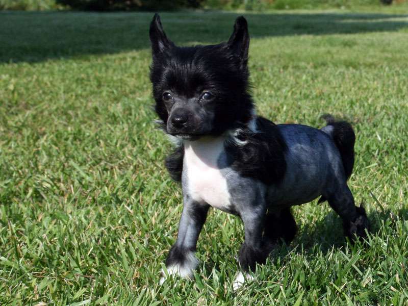 Sky Miracle Ocean Breeze