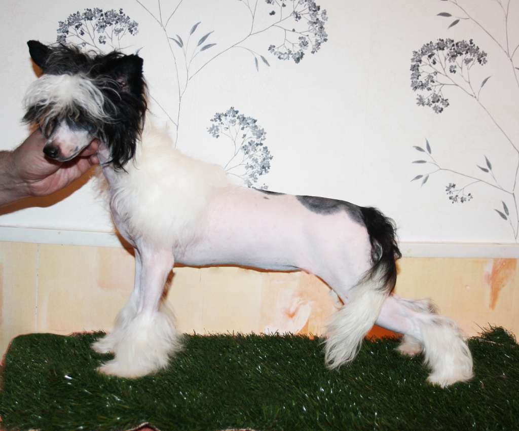 Charuyuschiy Soblazn Yumiko