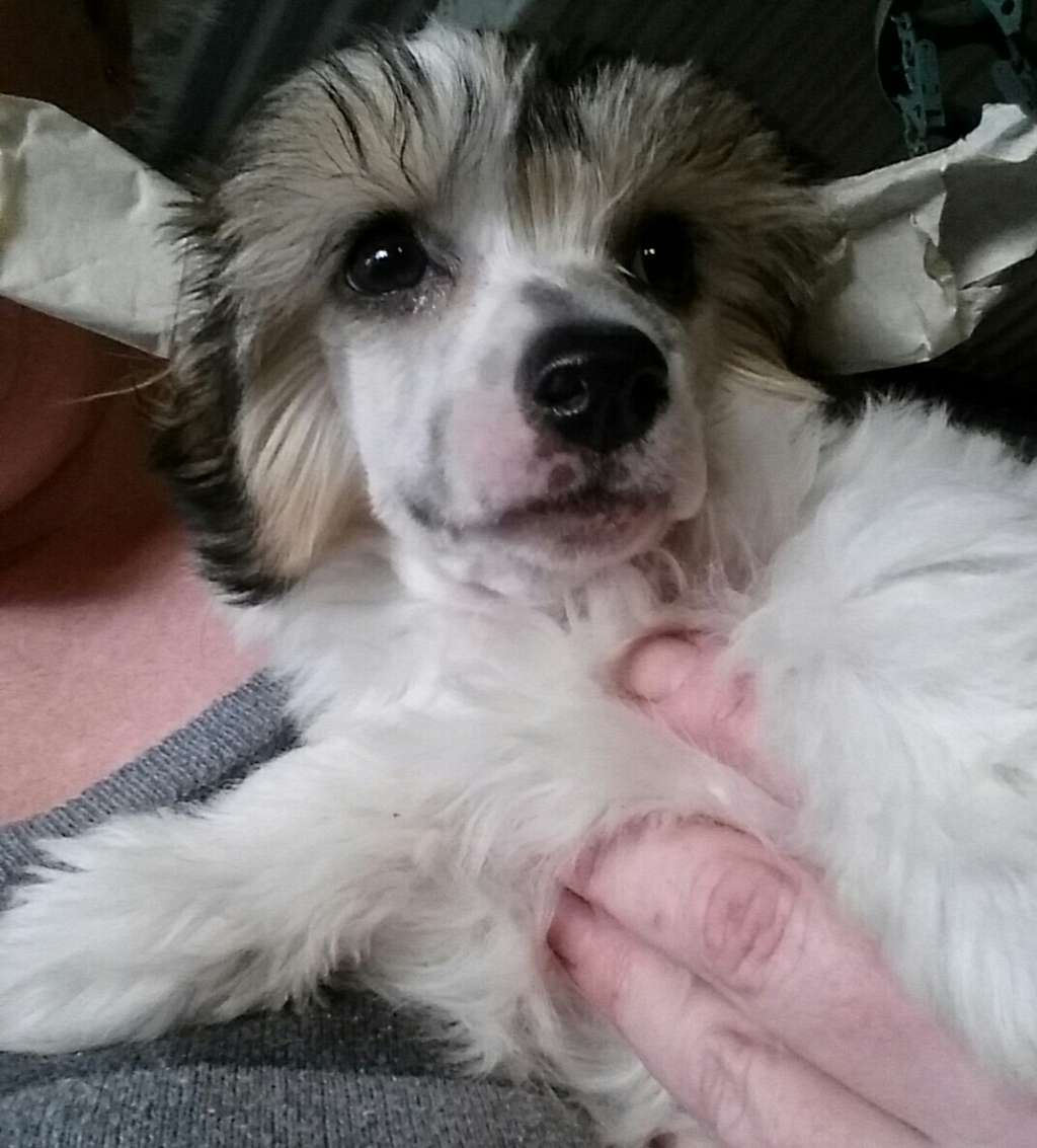 Entourage Eternal Embrace