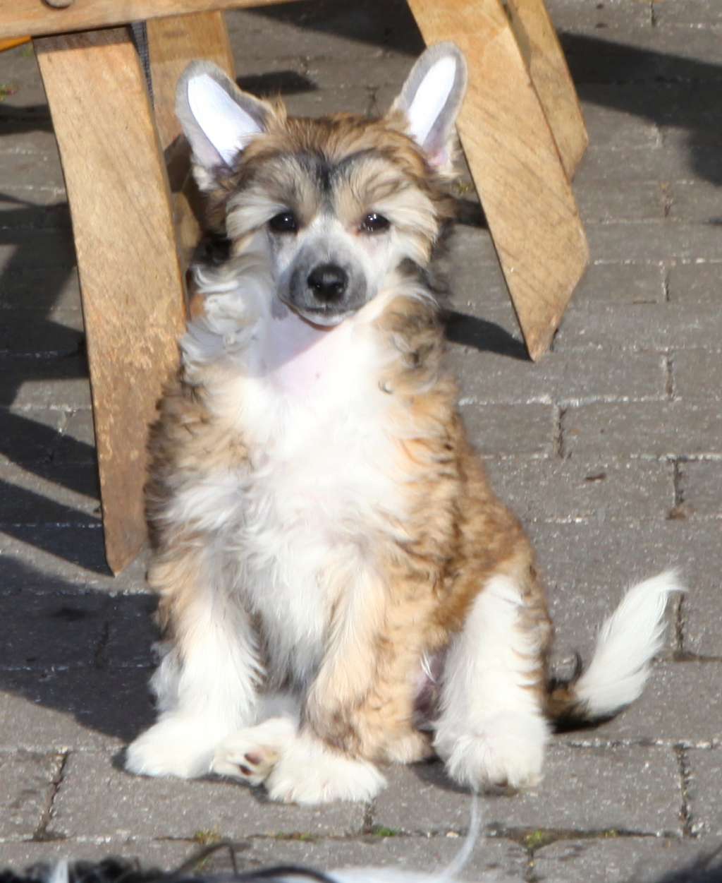 Nakaya From China with love