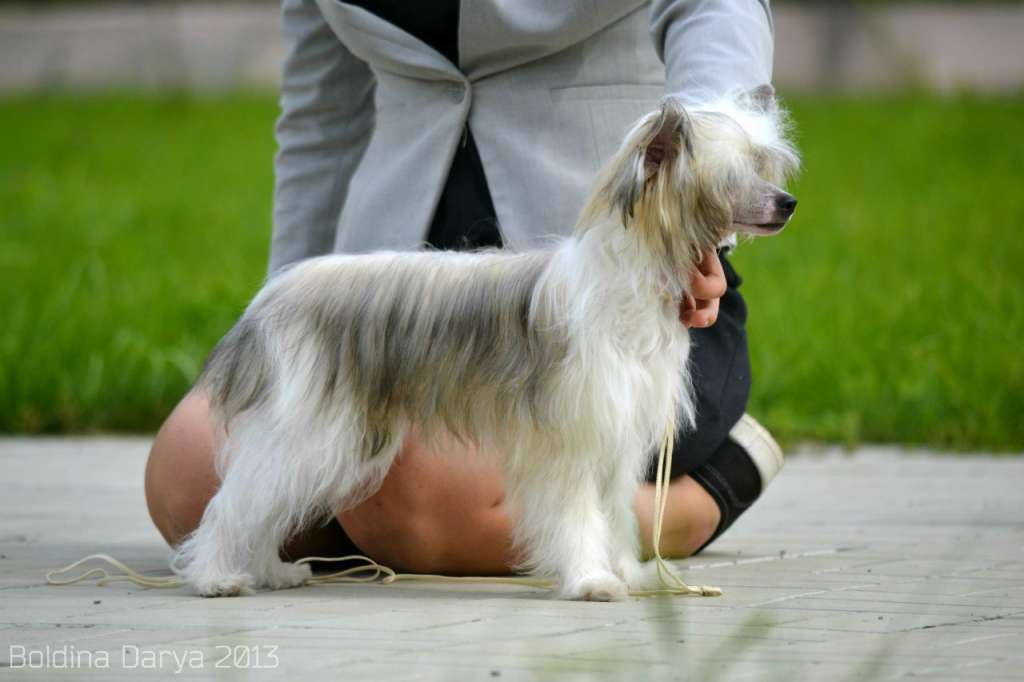 Beki