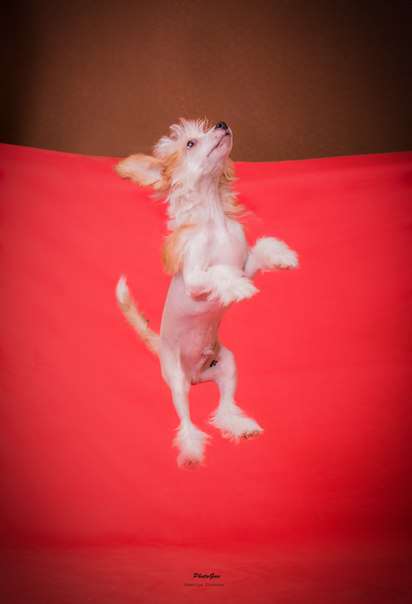 Grand Sunlife Cvetan