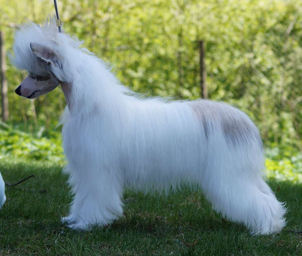 Blendverk's Fingers Crossed