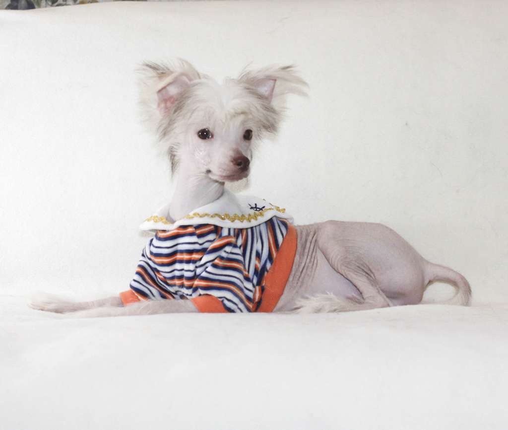 Vernisazh Mari Josef