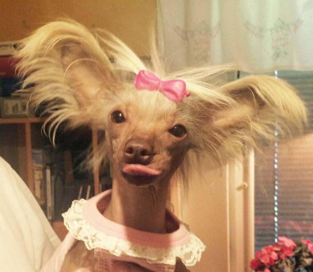 Almaz Udachi Gladys Bonita