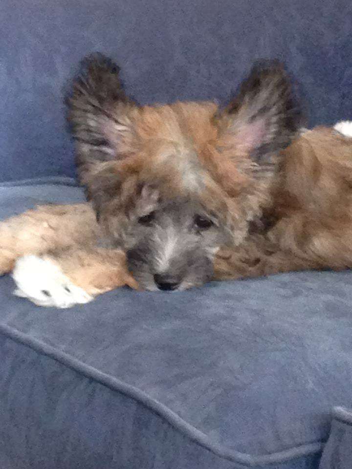 Konishiki Femme Fatal