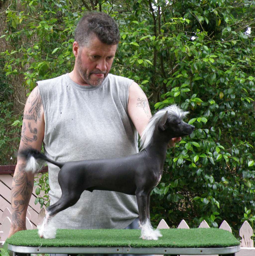 Karakush Esky Moe Joe