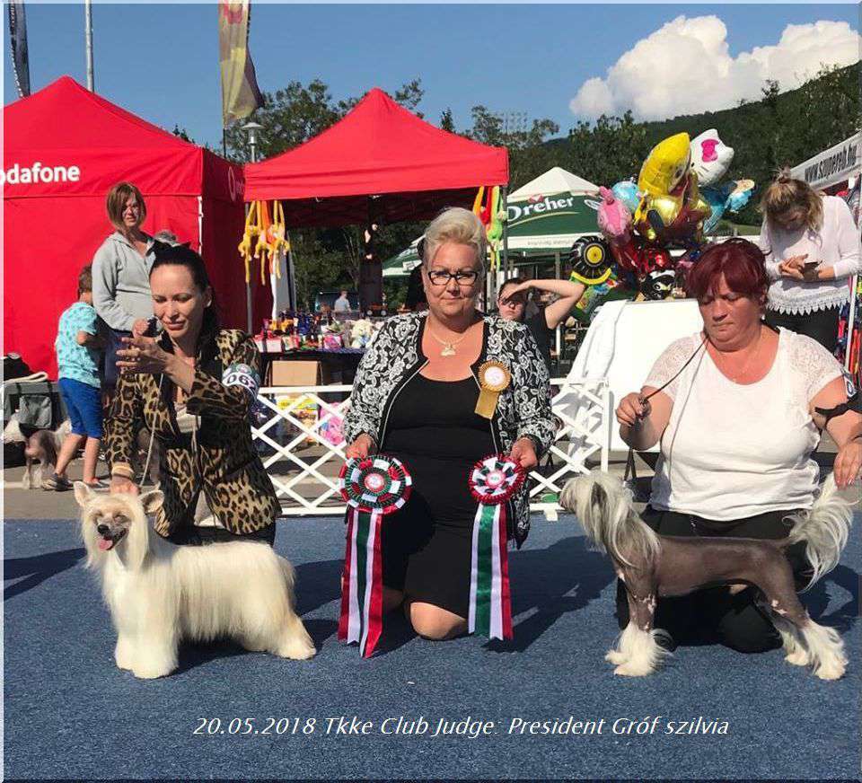 Fundoklia-völgyi Kaszanics Voodoo Magic