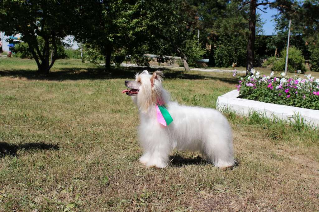 Bella Una Vita Felice