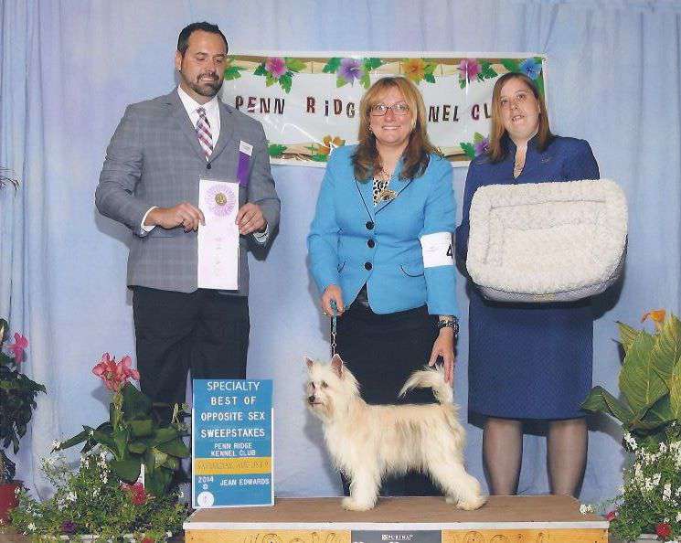 Gingery's Which Hunter