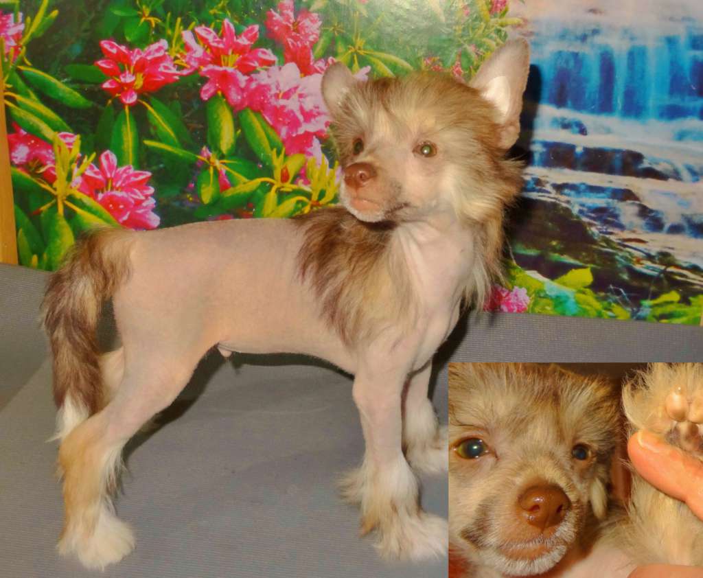 Millenium Pride Bingo