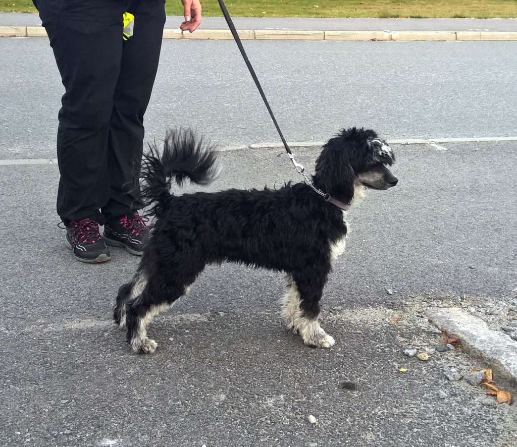 Beachcrest Jason Statham