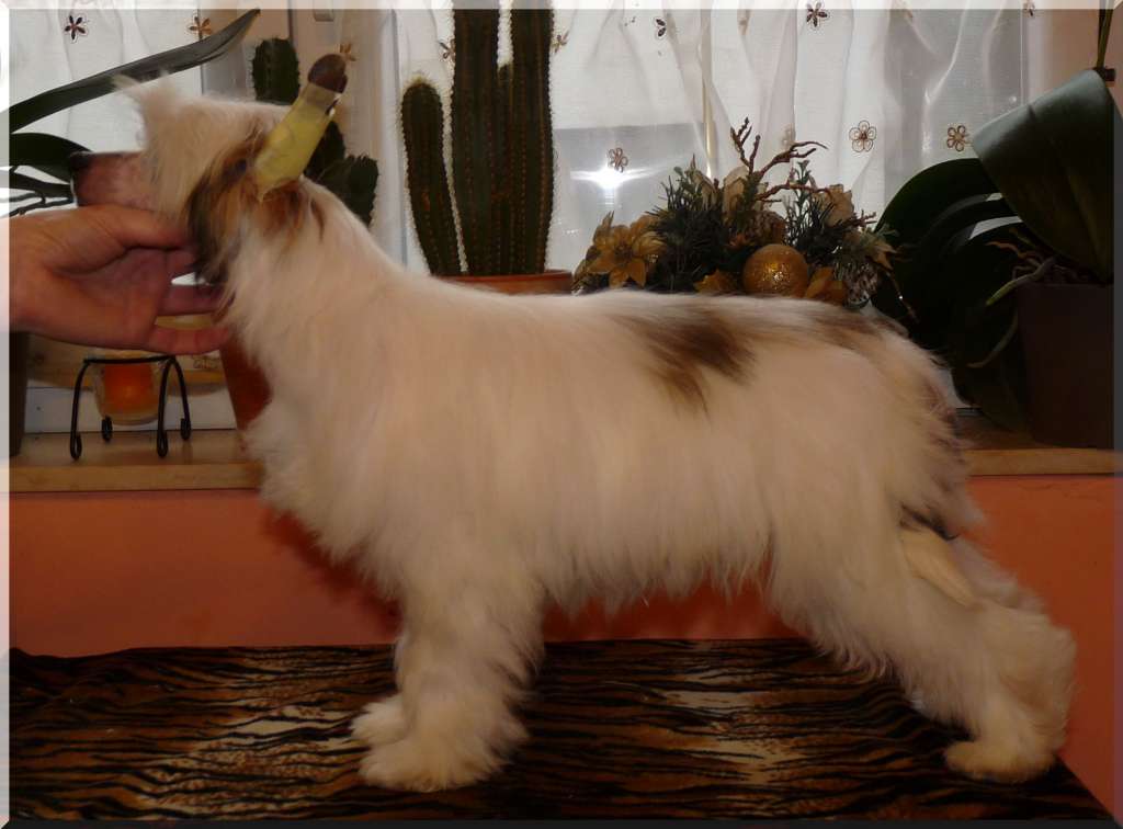 Charlye Black&White Border