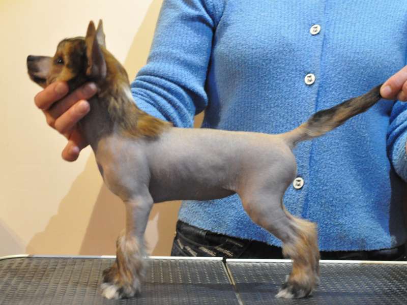 Zholesk Isla Sapatera