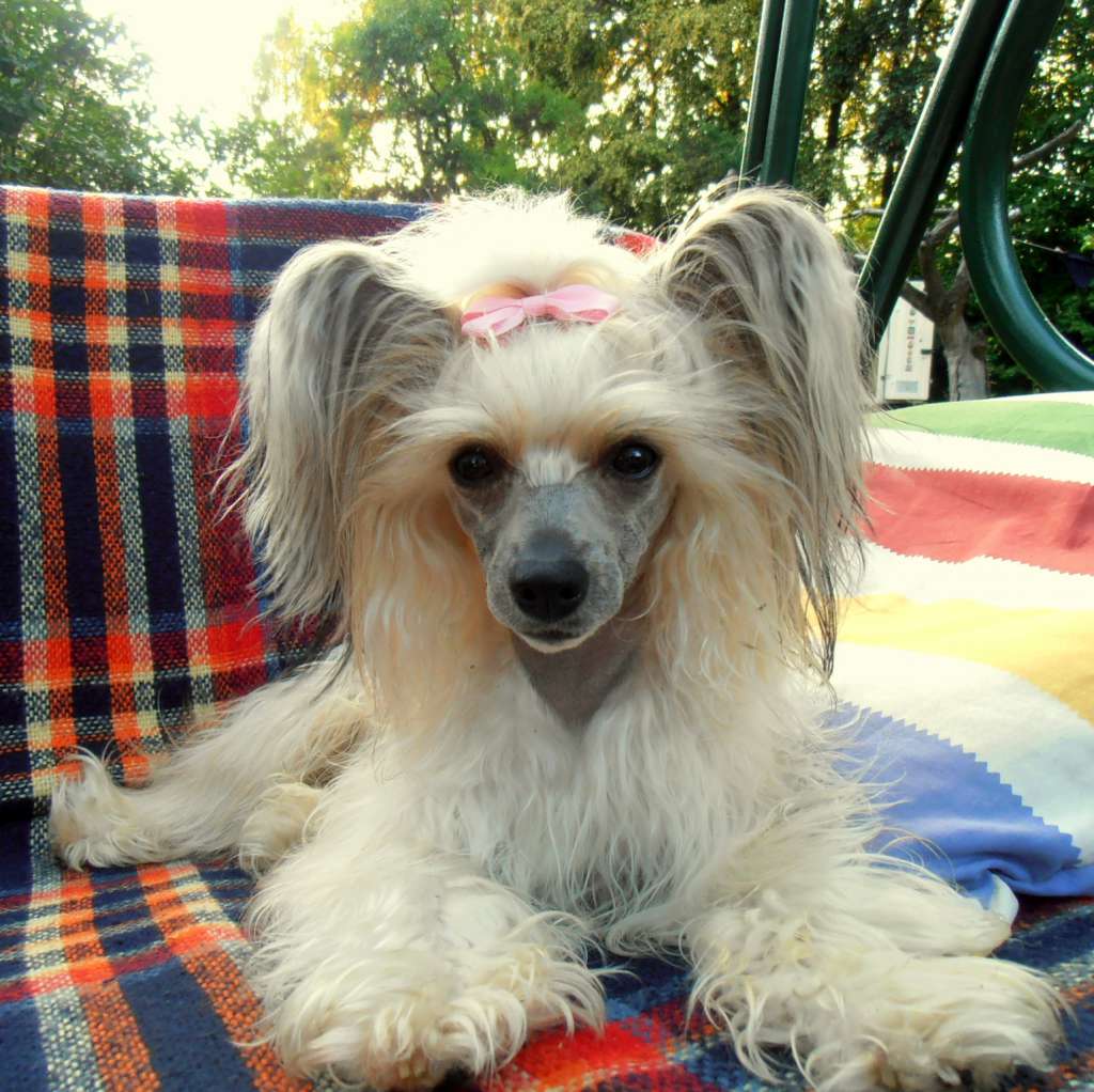 WAKONDA Sprawdz w Slowniku