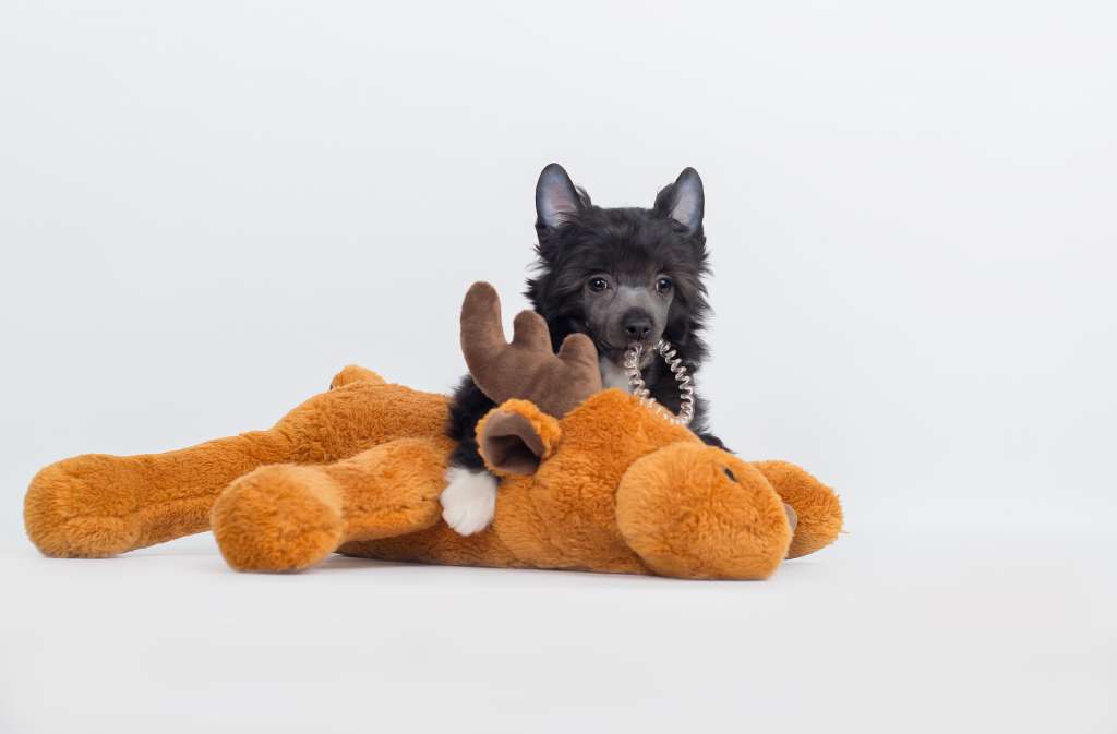 Heaven King of Diamonds