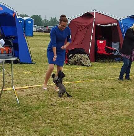 EXxiino's A Perfect Adventure