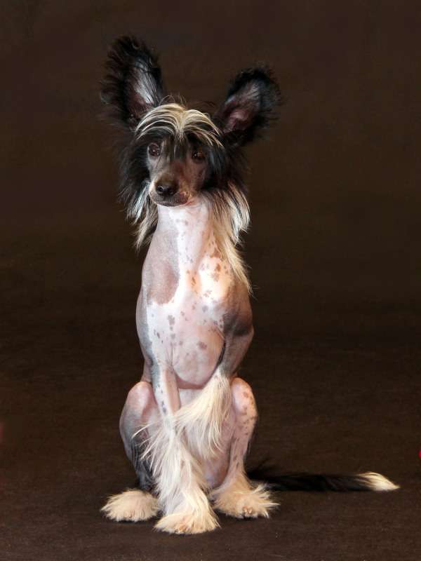 Sky Miracle Radmilla Grace of God