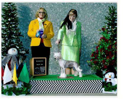 Edelweiss Drop Off The Key Lee