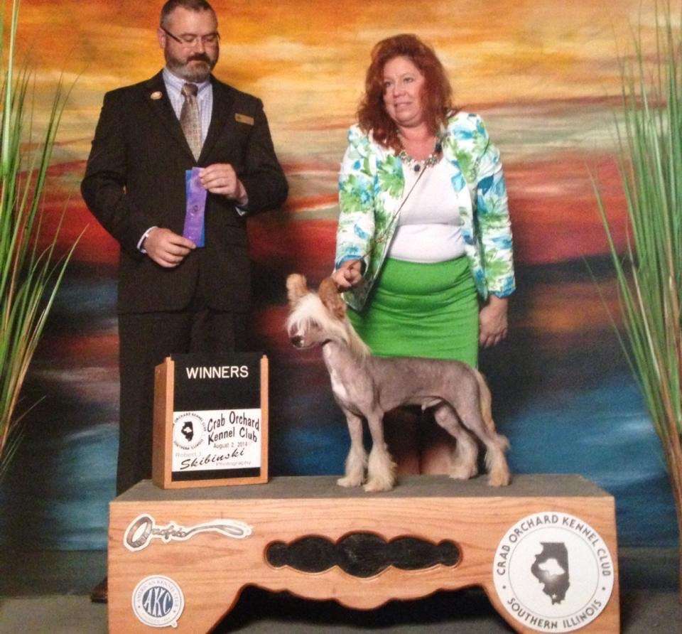 Edelweiss Shotgun Willie