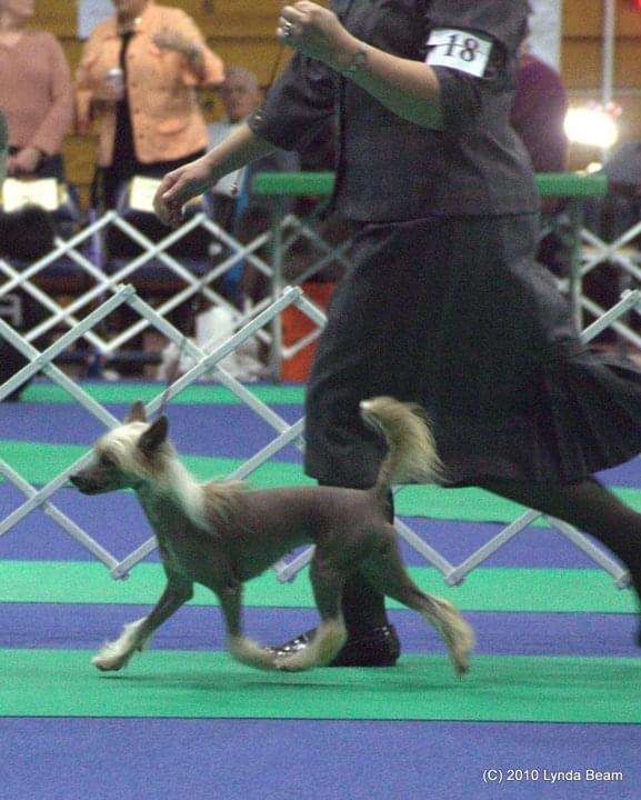 Edelweiss Whiskey River