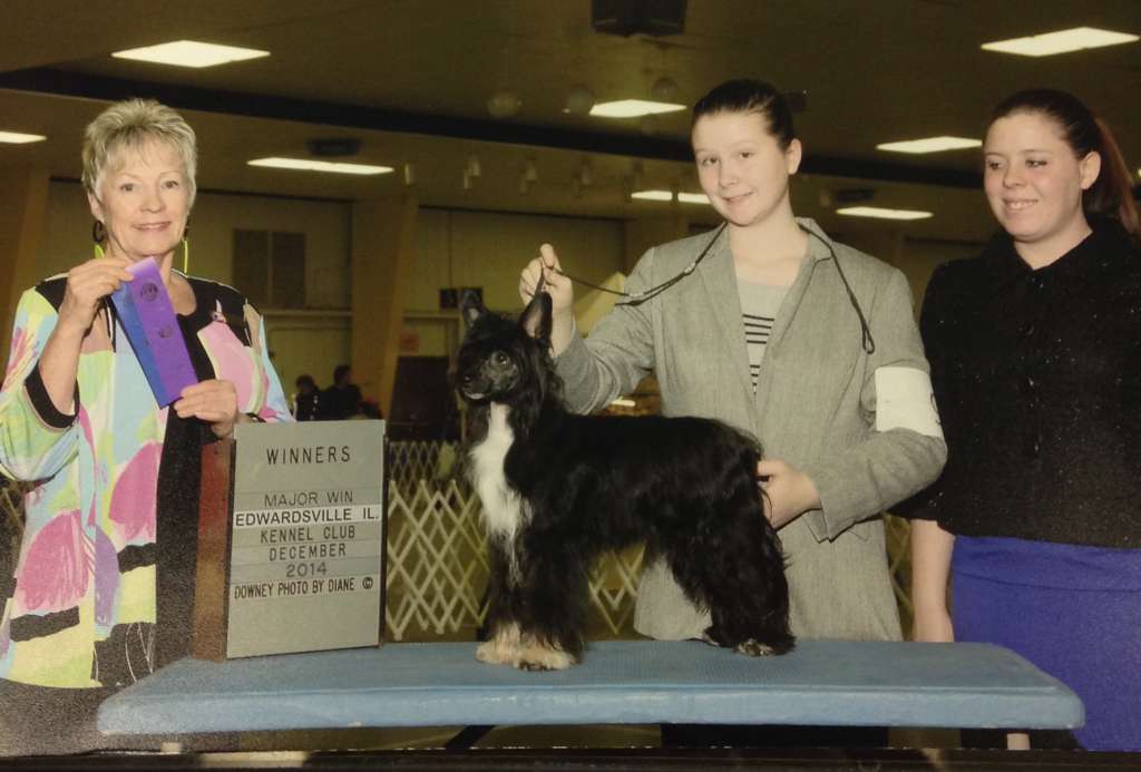 Edelweiss Dressed To The Left