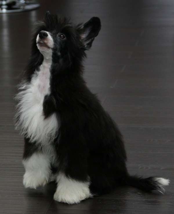 Worldshow Philadelphia