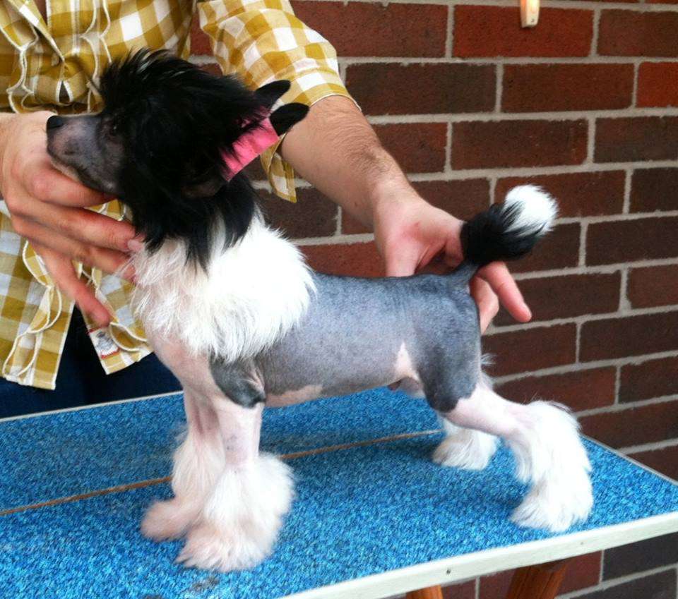 Gracieux Speak Of The Devil