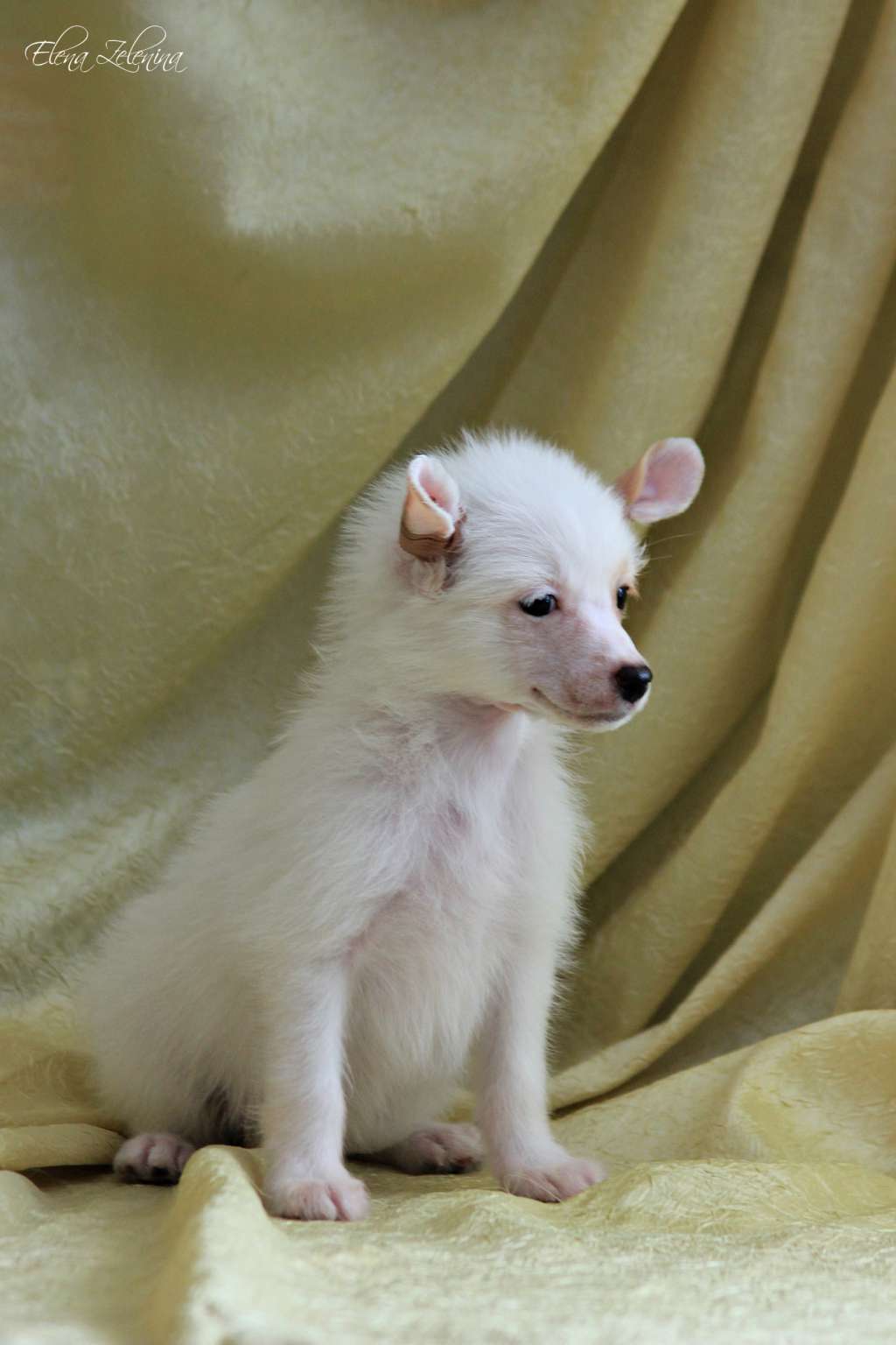 Dragotsennyi Dar Ekstazi