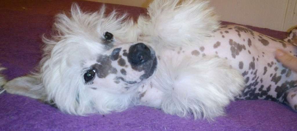 Giorgio Armani z Andelovy dlane