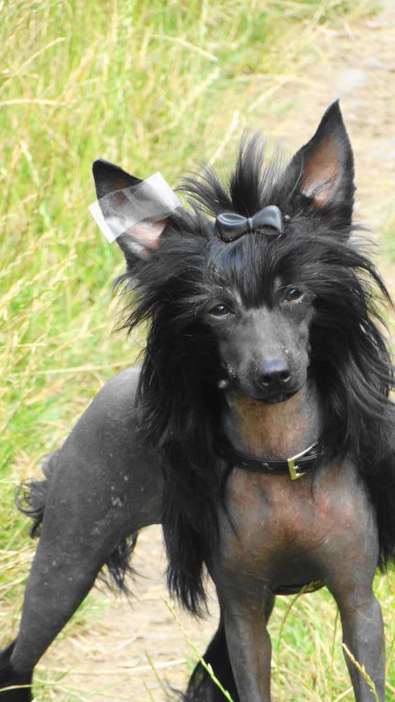 Jinki de L'Antre de Hôkô