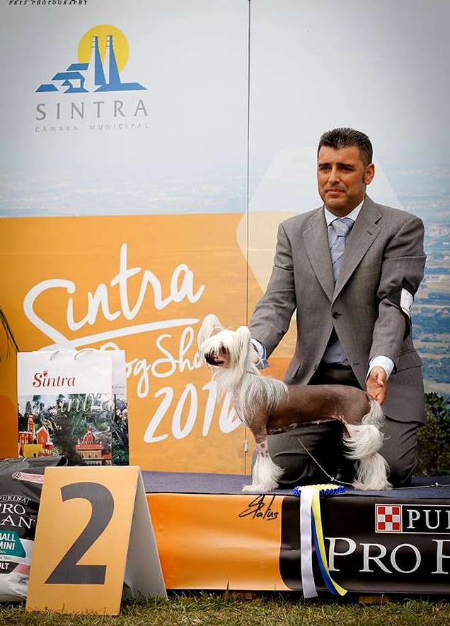 Multi Ch. - Grand Ch. Idaira De Sothis