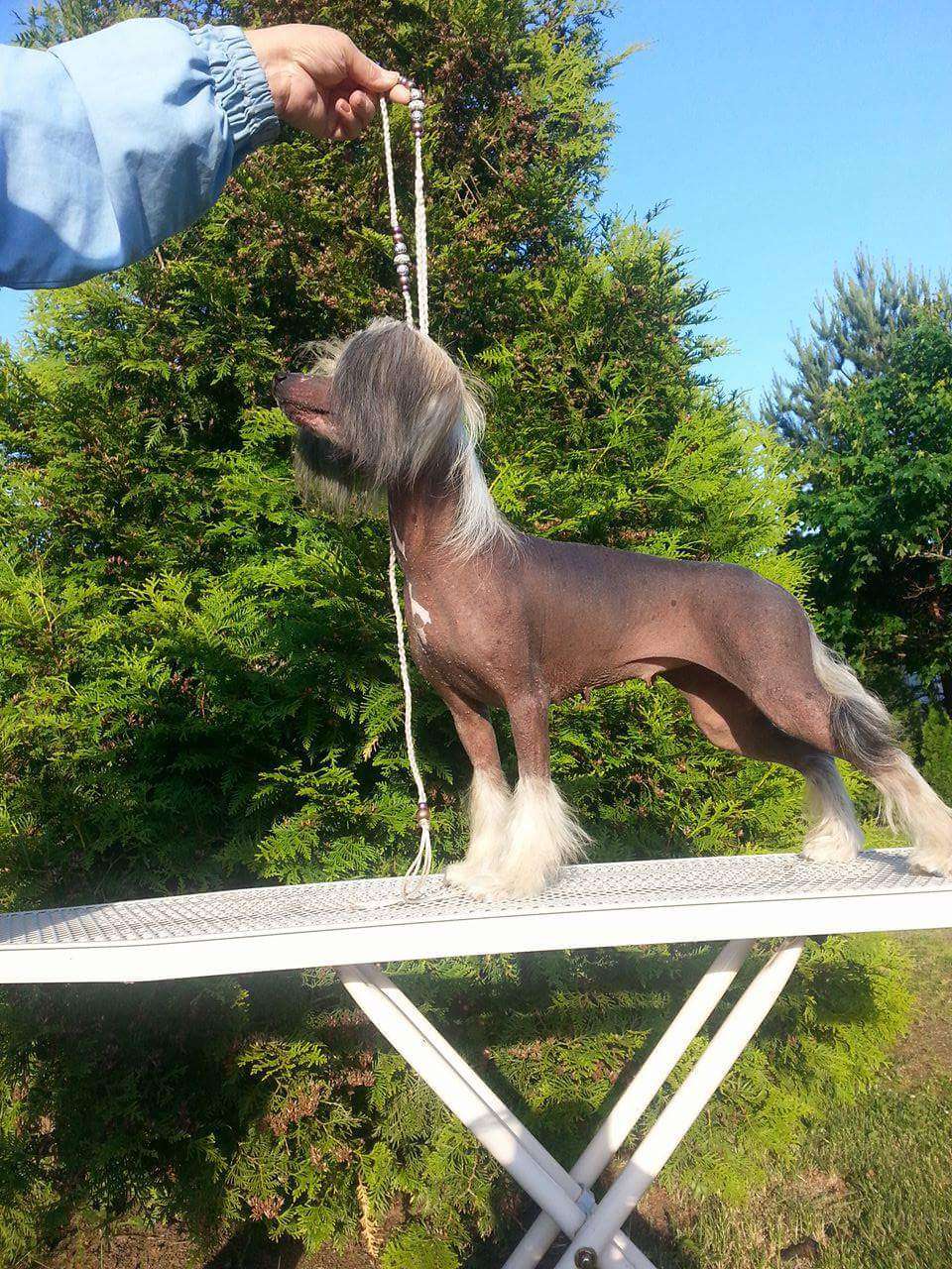 Namilon Tiny Sweetheart