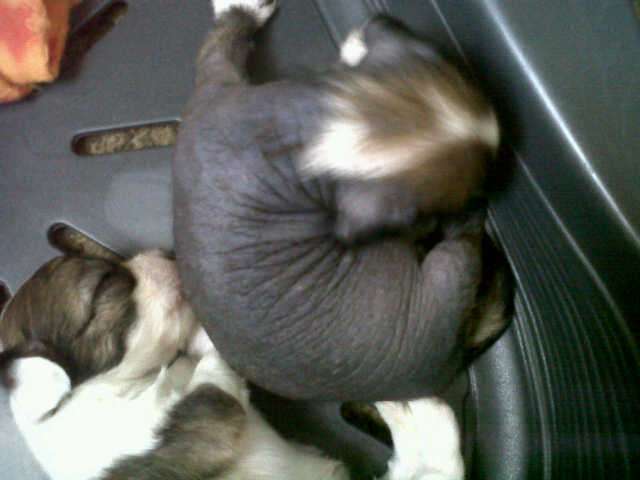 Arete Crash Boom Bang