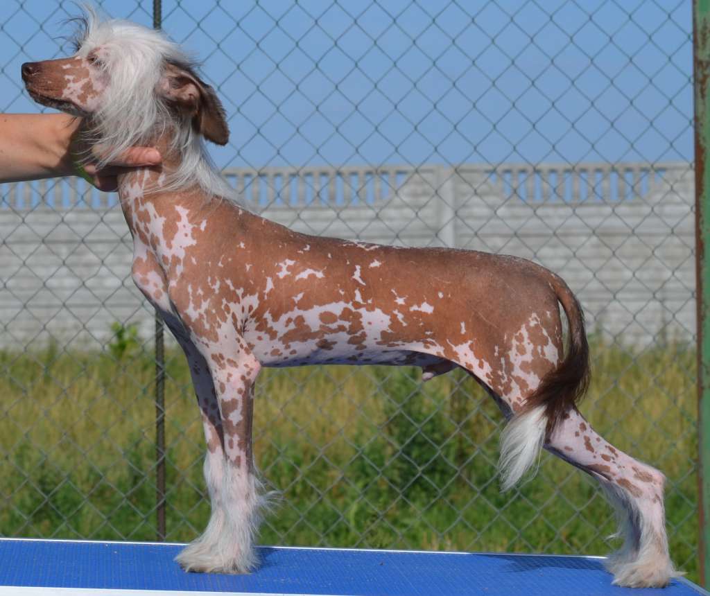 Eliot iz Serebryanogo raya