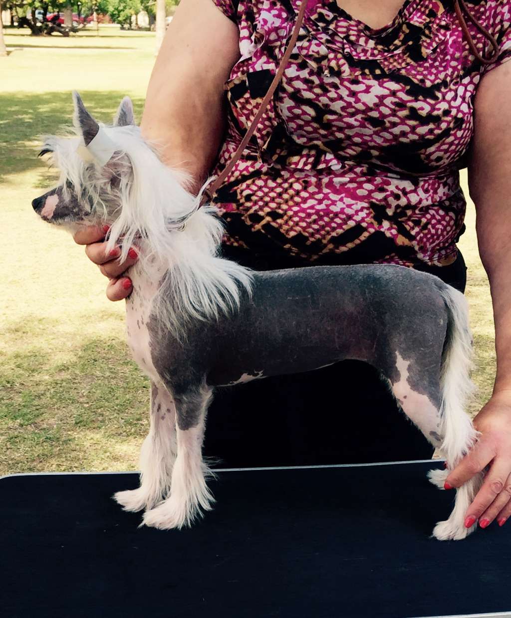 Nina's K Flawless Gem