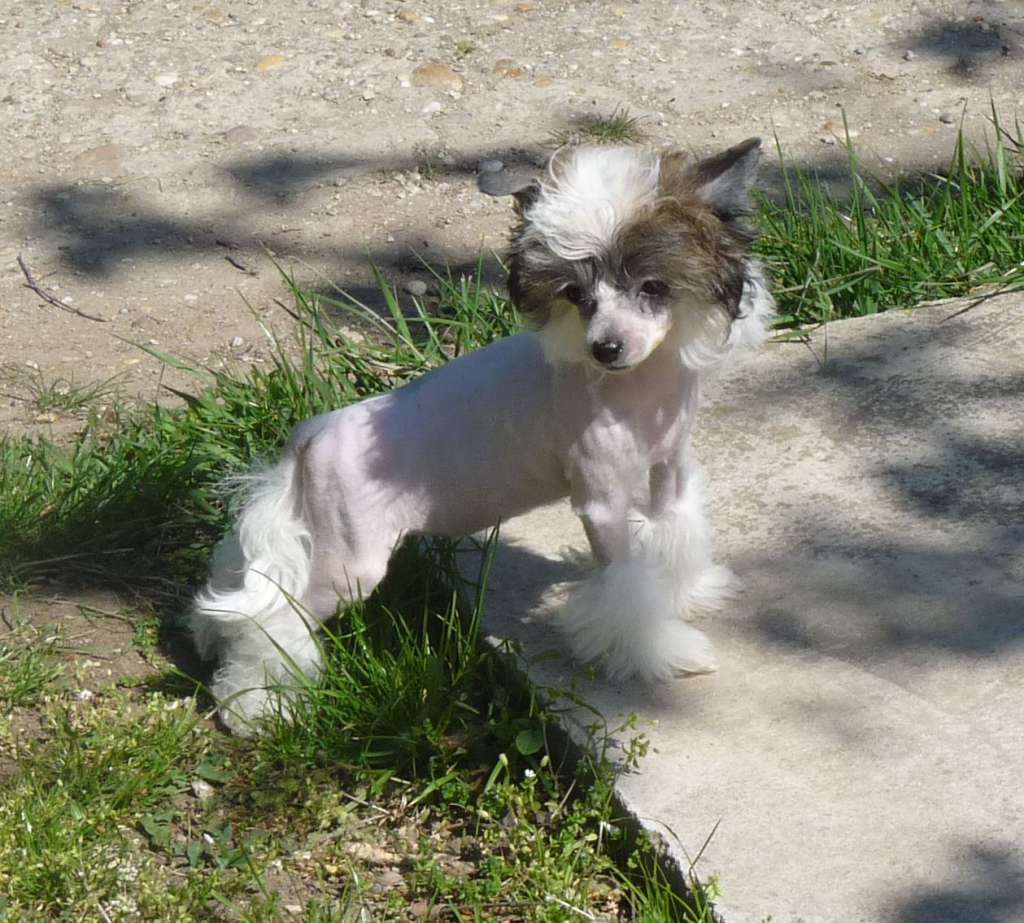 Fundoklia-völgyi Kaszanics Winter Magic