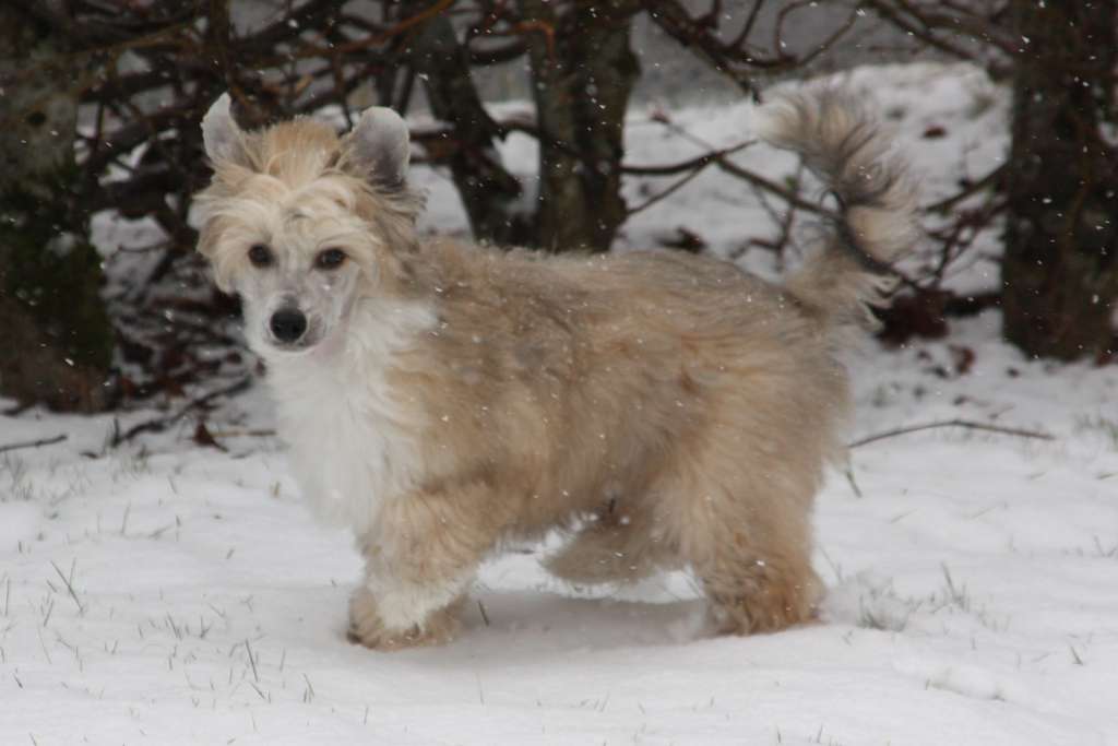 Blendverk's Go your own way