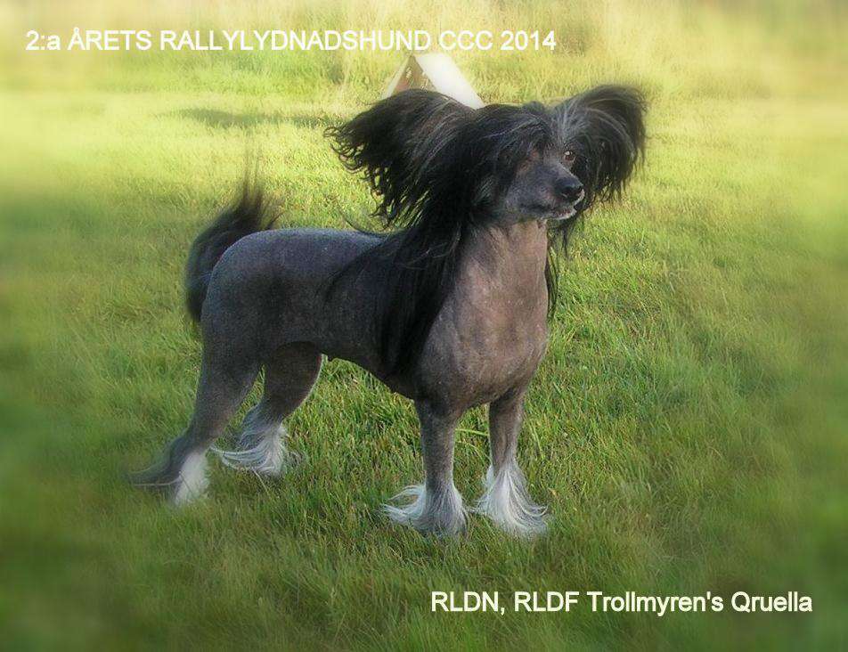 Trollmyren's Qruella