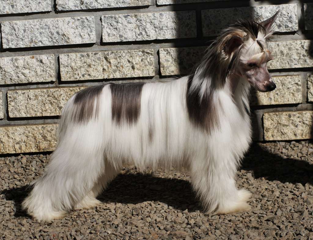 Poulot's Keep It On Top