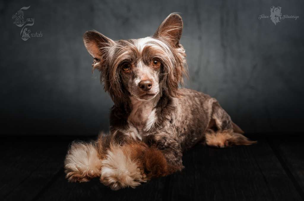 Estillinis Dark Pepper Chill