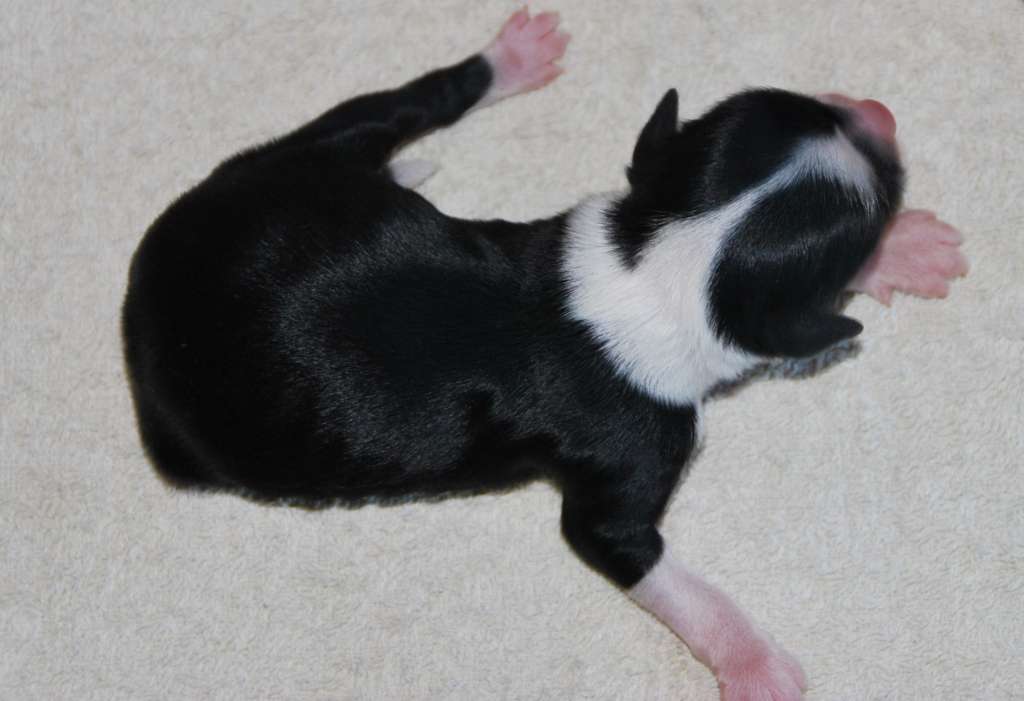 Naomy From Victoria With Love