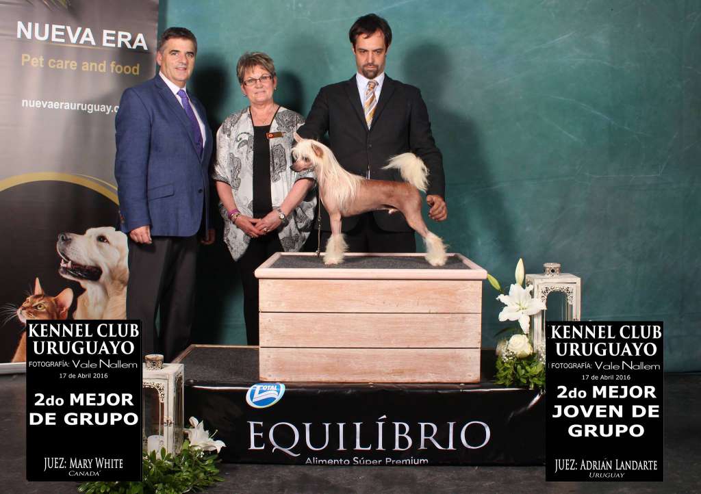 Saint Christopher's magic Treasure