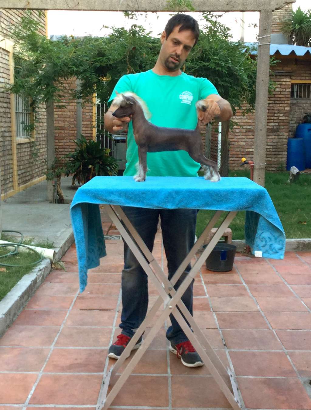 Saint Christopher's magic Jewel