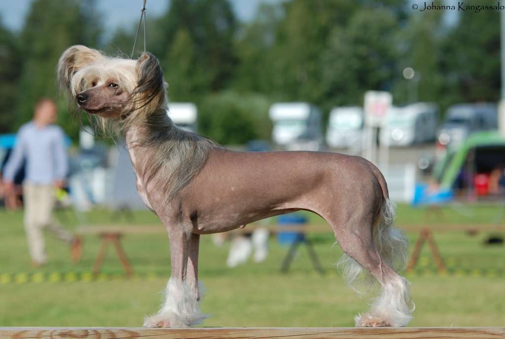 Maybell's Upside-Down