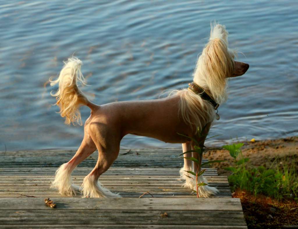 Maybell's Up-And-Coming