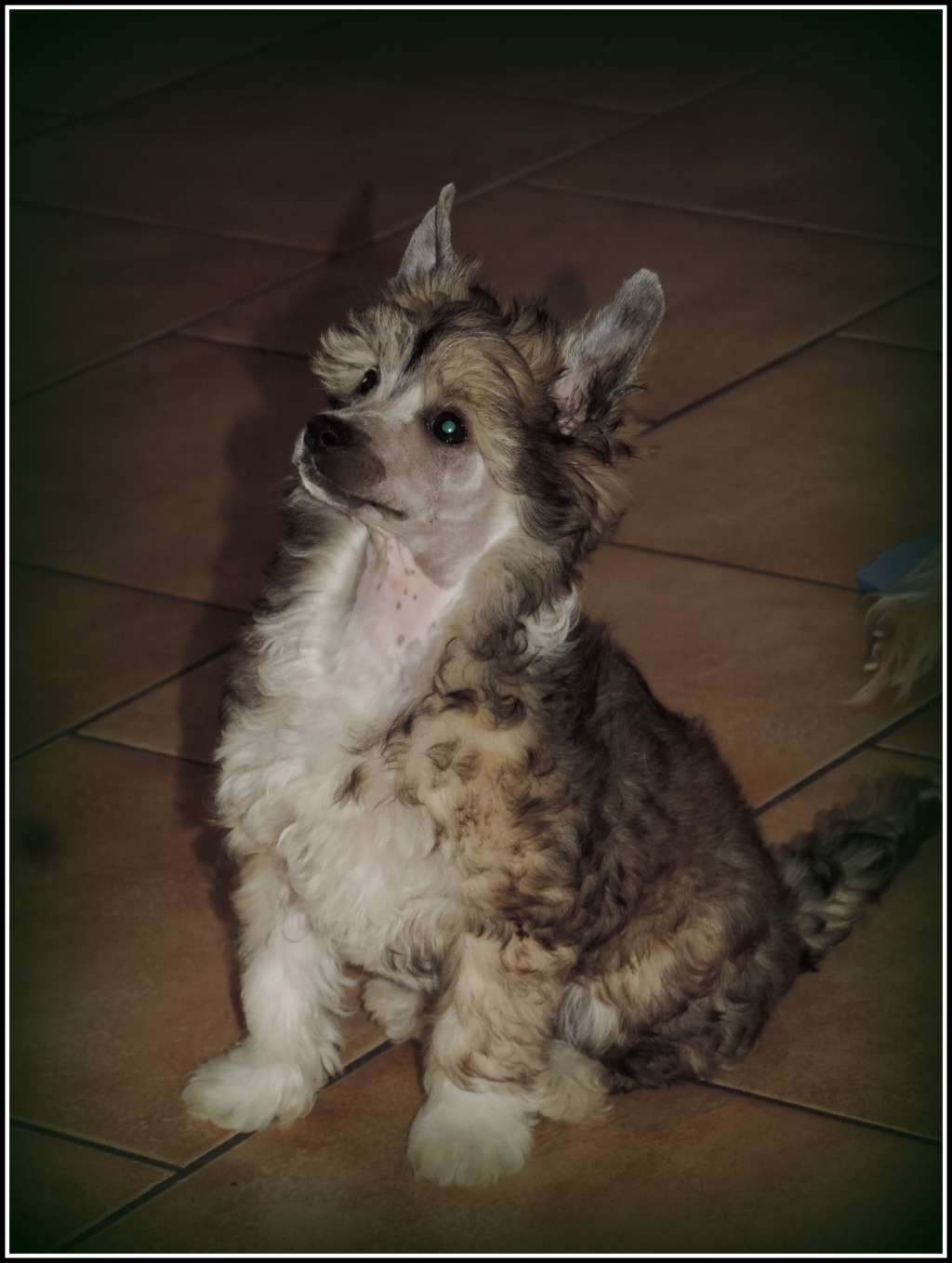 Leave Nothing To Chance Du Coeur Des Tenebres